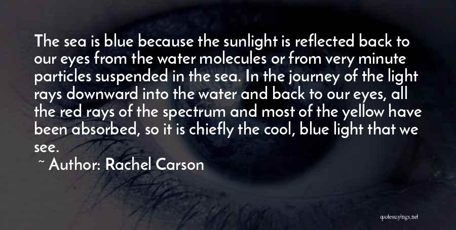 Blue Sea Water Quotes By Rachel Carson