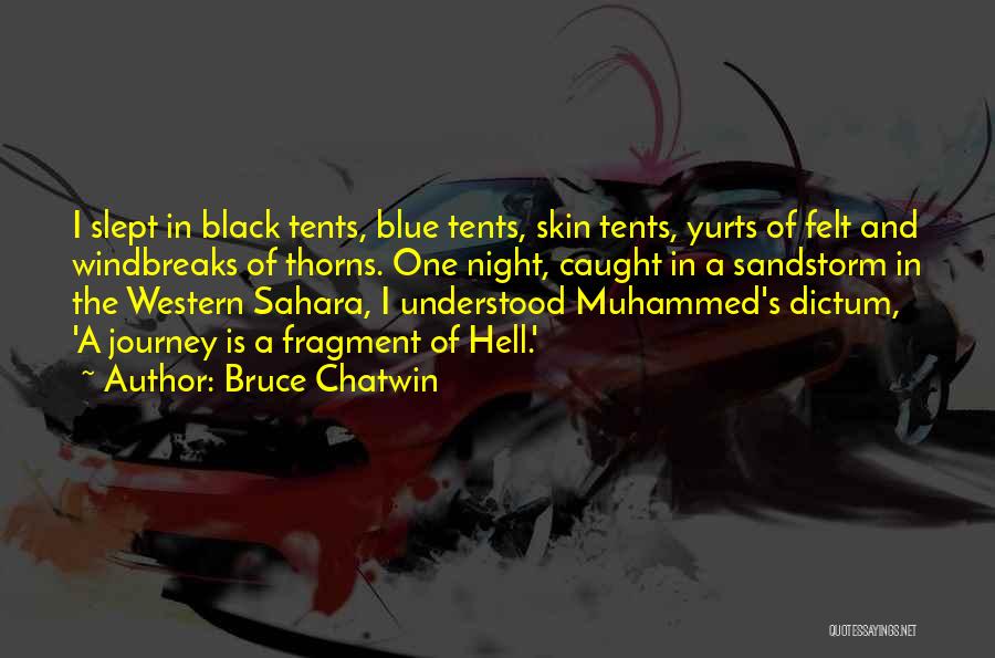Blue Skin Quotes By Bruce Chatwin