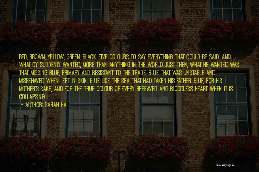 Blue Skin Quotes By Sarah Hall