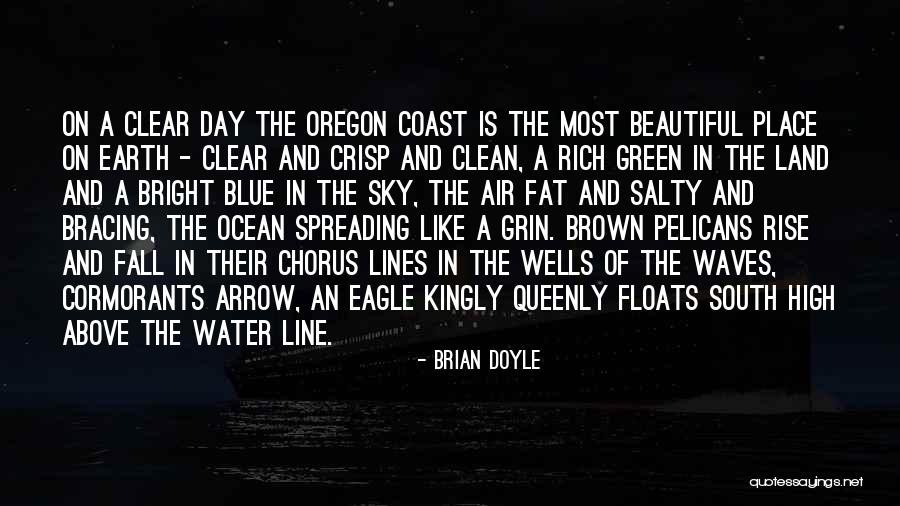 Blue Sky And Ocean Quotes By Brian Doyle