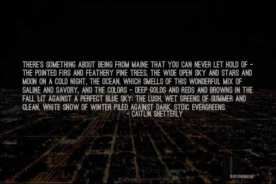 Blue Sky And Ocean Quotes By Caitlin Shetterly Blue Sky And Ocean Quotes By Caitlin Shetterly