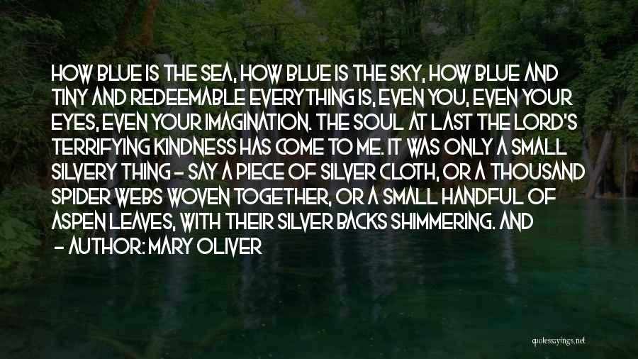 Blue Sky And Sea Quotes By Mary Oliver