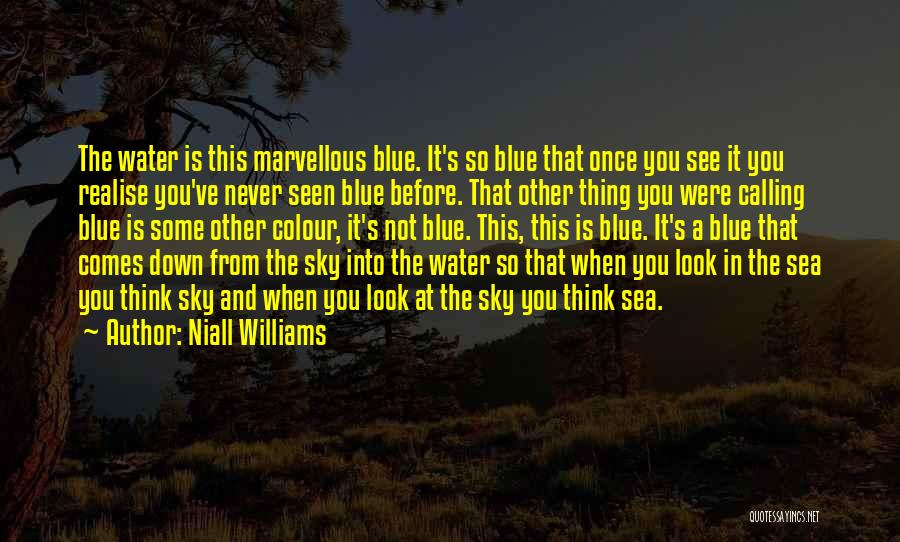 Blue Sky And Sea Quotes By Niall Williams