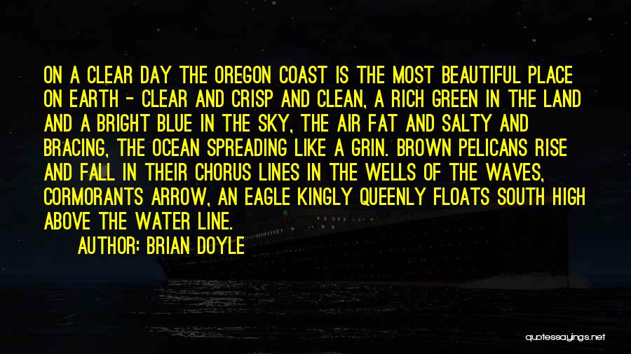 Blue Sky And Water Quotes By Brian Doyle