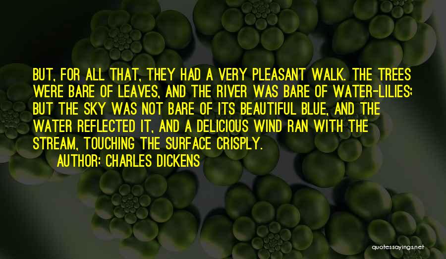 Blue Sky And Water Quotes By Charles Dickens