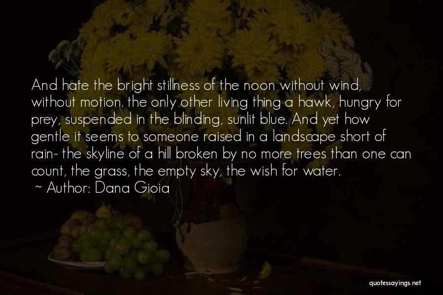 Blue Sky And Water Quotes By Dana Gioia