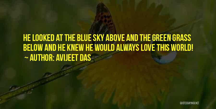 Blue Sky Green Grass Quotes By Avijeet Das