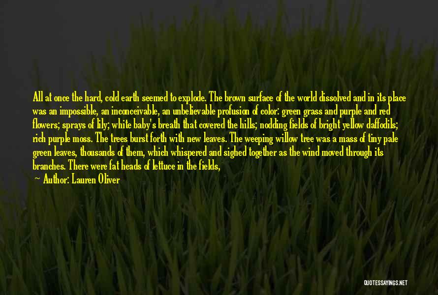 Blue Sky Green Grass Quotes By Lauren Oliver