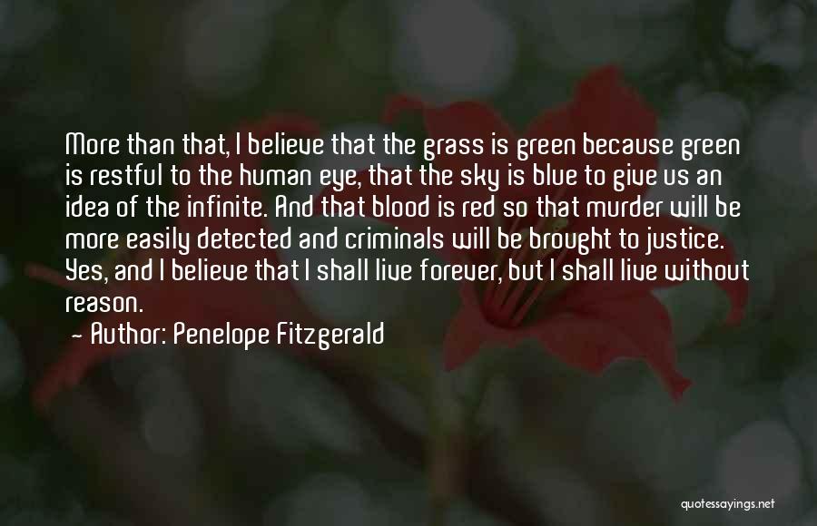 Blue Sky Green Grass Quotes By Penelope Fitzgerald