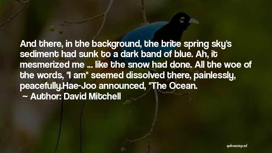 Blue Sky Ocean Quotes By David Mitchell