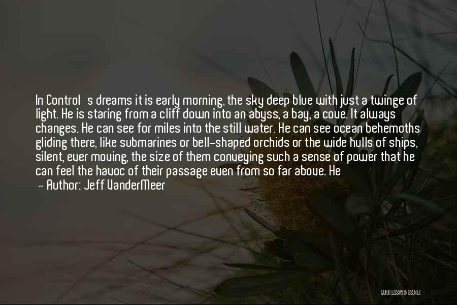 Blue Sky Ocean Quotes By Jeff VanderMeer