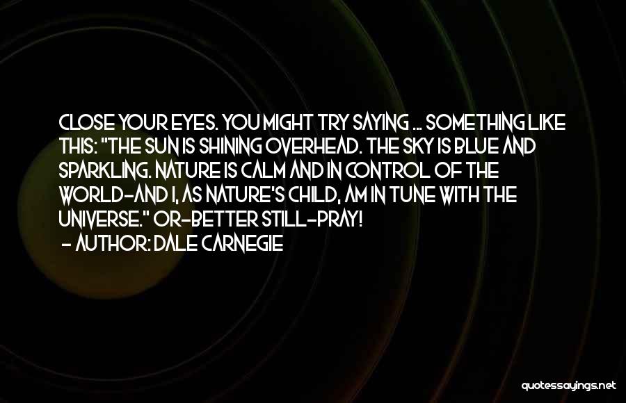 Blue Sky Quotes By Dale Carnegie