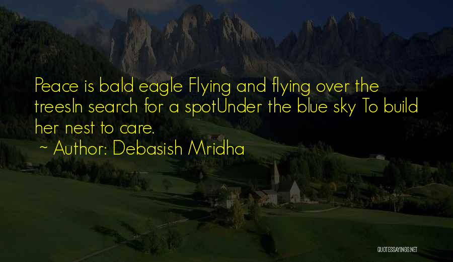 Blue Sky Quotes By Debasish Mridha