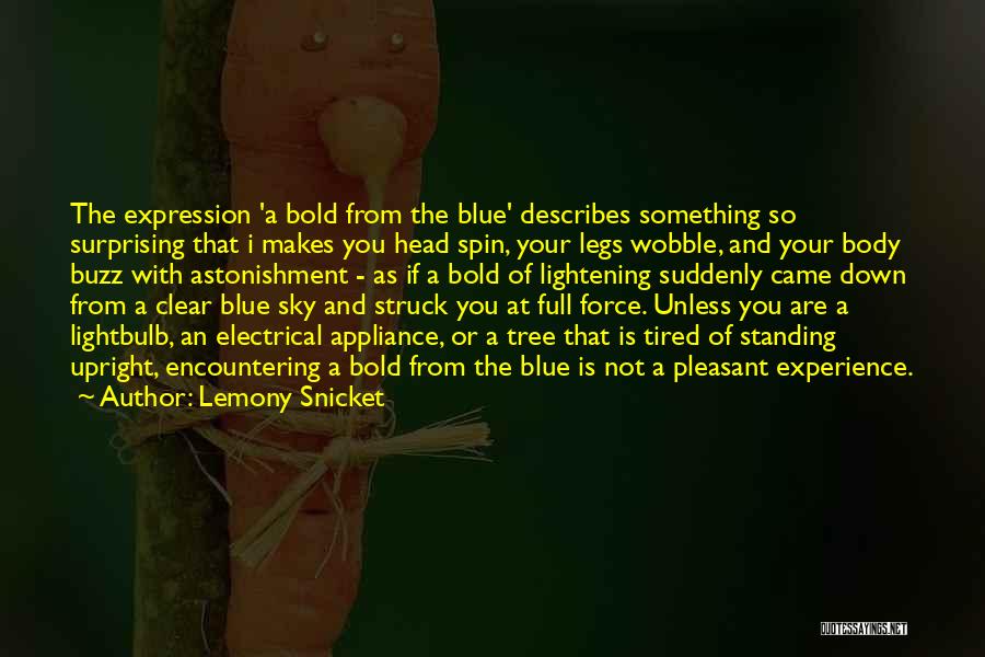 Blue Sky Quotes By Lemony Snicket