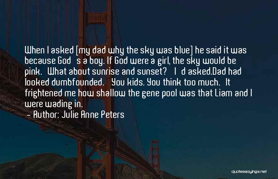 Blue Sky Sunset Quotes By Julie Anne Peters