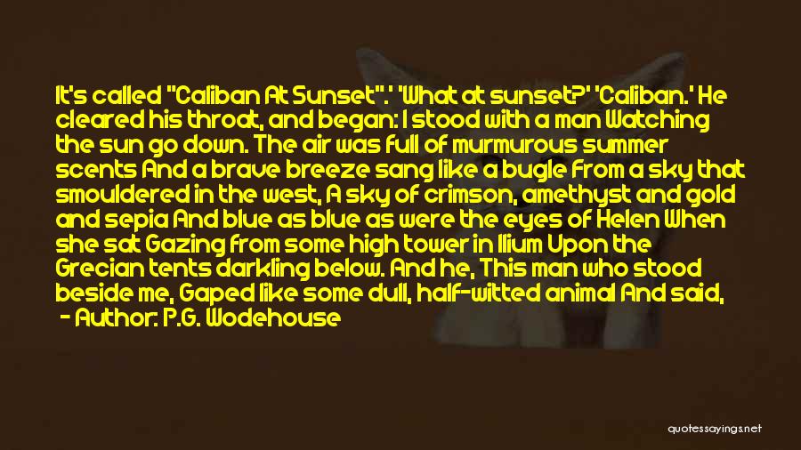 Blue Sky Sunset Quotes By P.G. Wodehouse