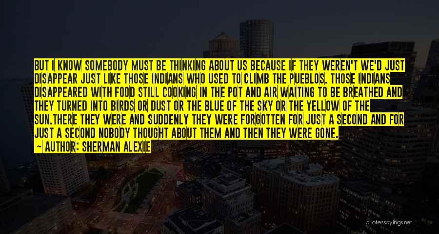 Blue Sky Thinking Quotes By Sherman Alexie