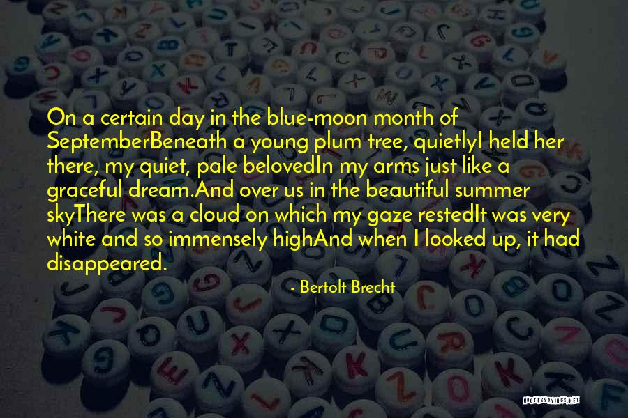 Blue Sky White Cloud Quotes By Bertolt Brecht Blue Sky White Cloud Quotes By Bertolt Brecht