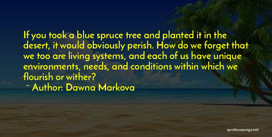Blue Spruce Quotes By Dawna Markova