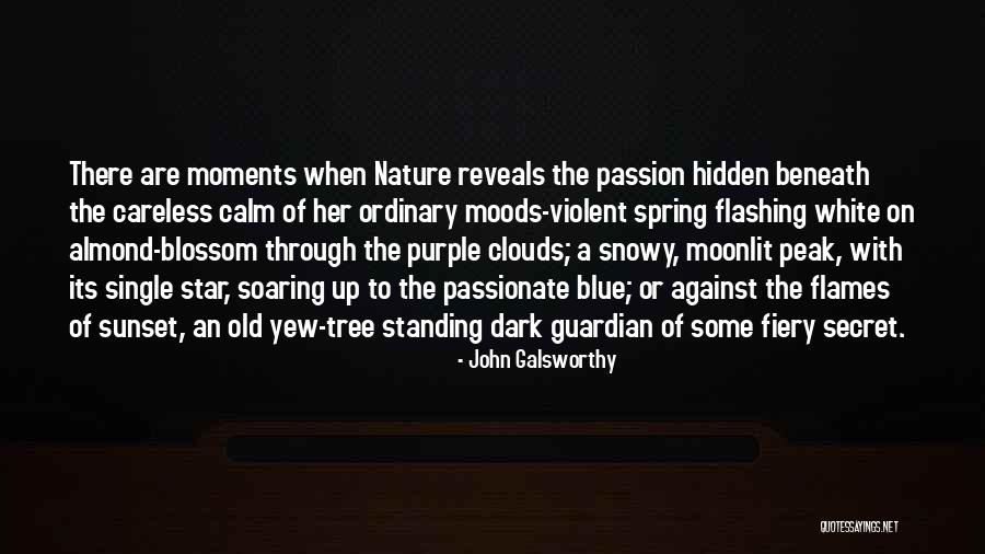 Blue Star Quotes By John Galsworthy Blue Star Quotes By John Galsworthy