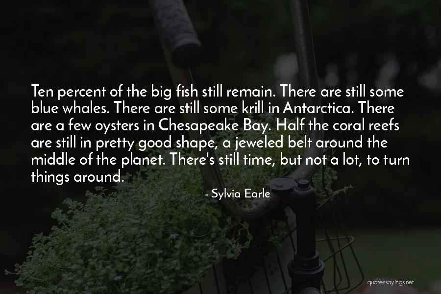Blue Things Quotes By Sylvia Earle Blue Things Quotes By Sylvia Earle