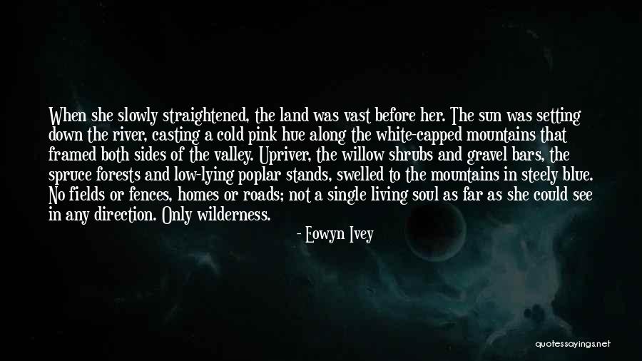 Blue Willow Quotes By Eowyn Ivey Blue Willow Quotes By Eowyn Ivey