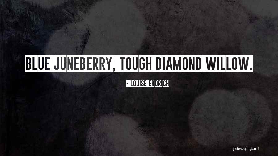 Blue Willow Quotes By Louise Erdrich Blue Willow Quotes By Louise Erdrich