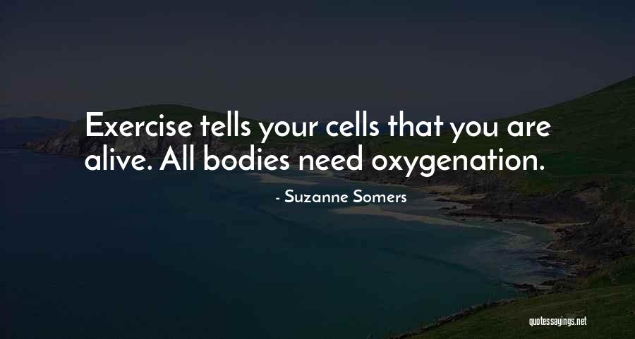 Blue Willow Quotes By Suzanne Somers Blue Willow Quotes By Suzanne Somers