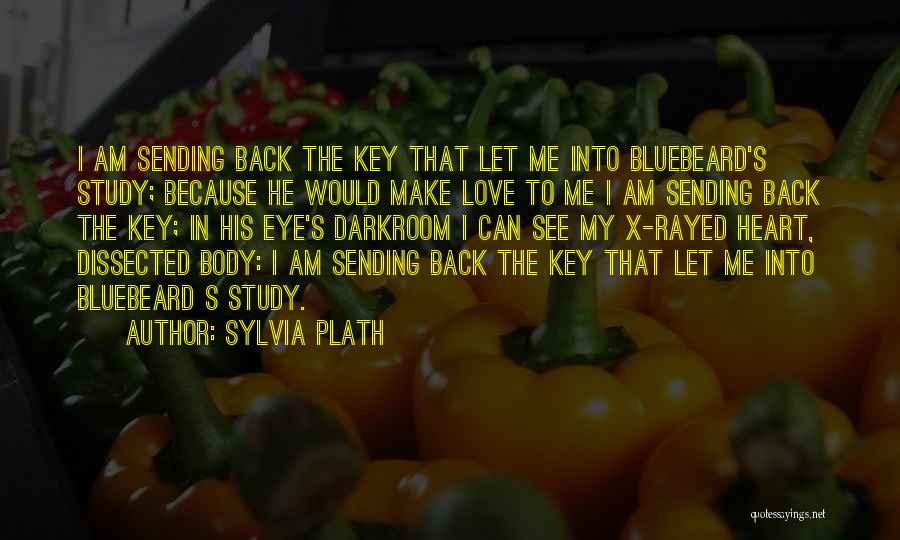 Bluebeard Quotes By Sylvia Plath