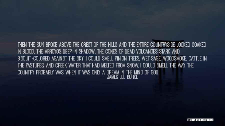Bluebeards Quotes By James Lee Burke Bluebeards Quotes By James Lee Burke