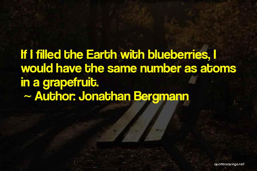 Blueberries Quotes By Jonathan Bergmann