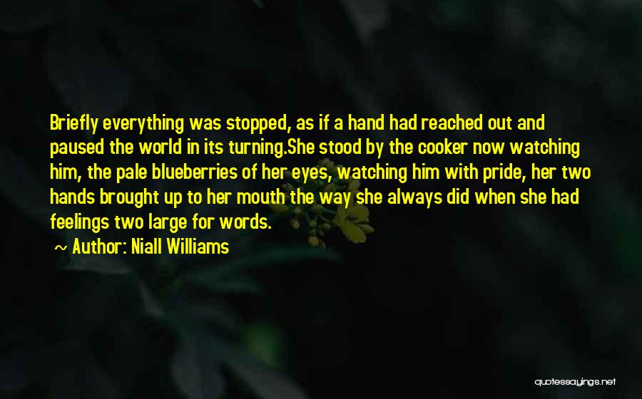 Blueberries Quotes By Niall Williams