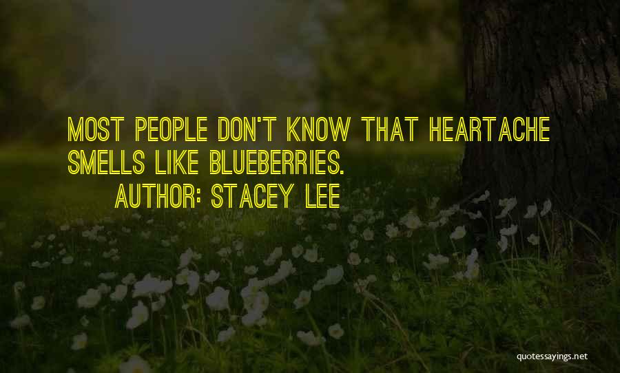 Blueberries Quotes By Stacey Lee