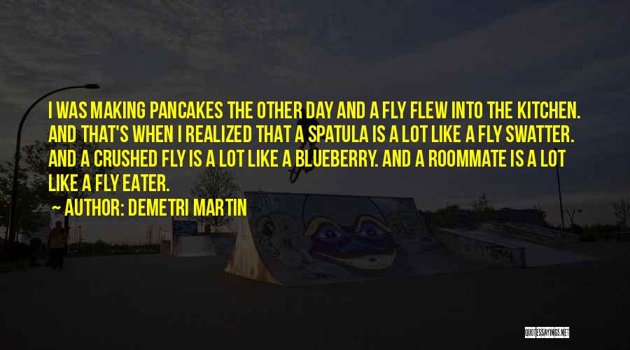 Blueberry Quotes By Demetri Martin