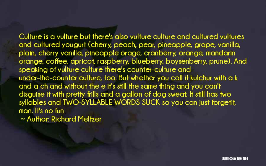 Blueberry Quotes By Richard Meltzer