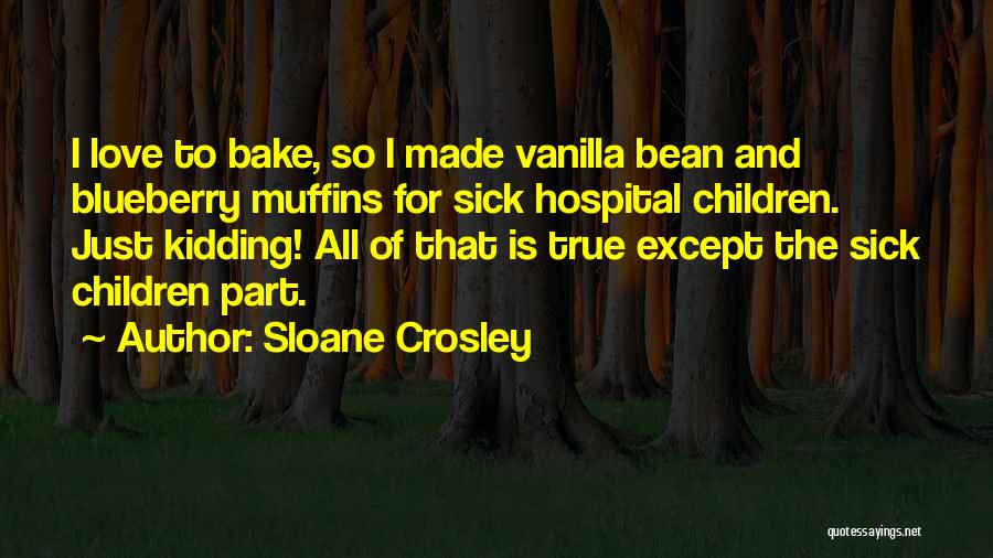 Blueberry Quotes By Sloane Crosley