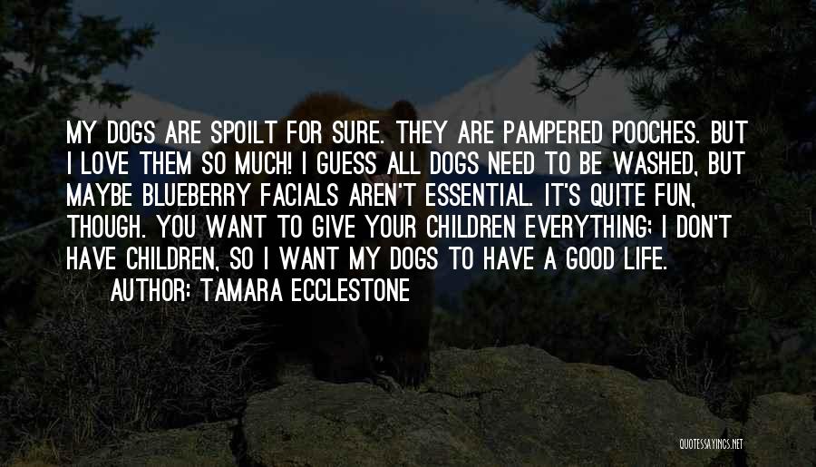 Blueberry Quotes By Tamara Ecclestone