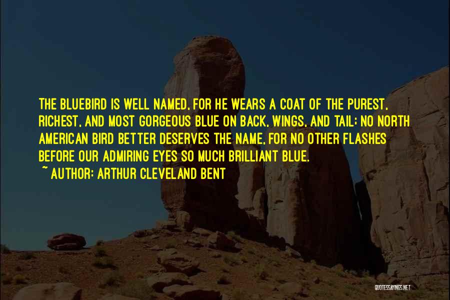 Bluebird Quotes By Arthur Cleveland Bent