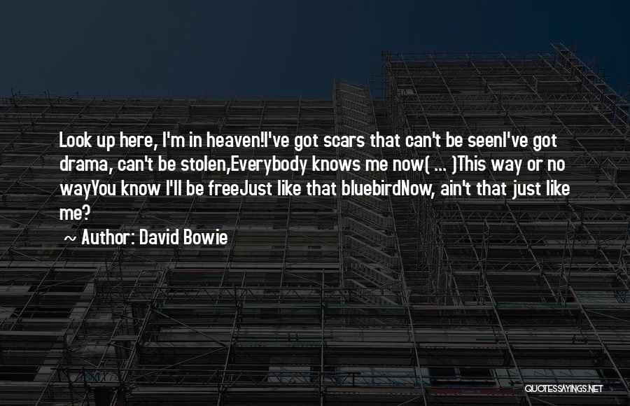 Bluebird Quotes By David Bowie