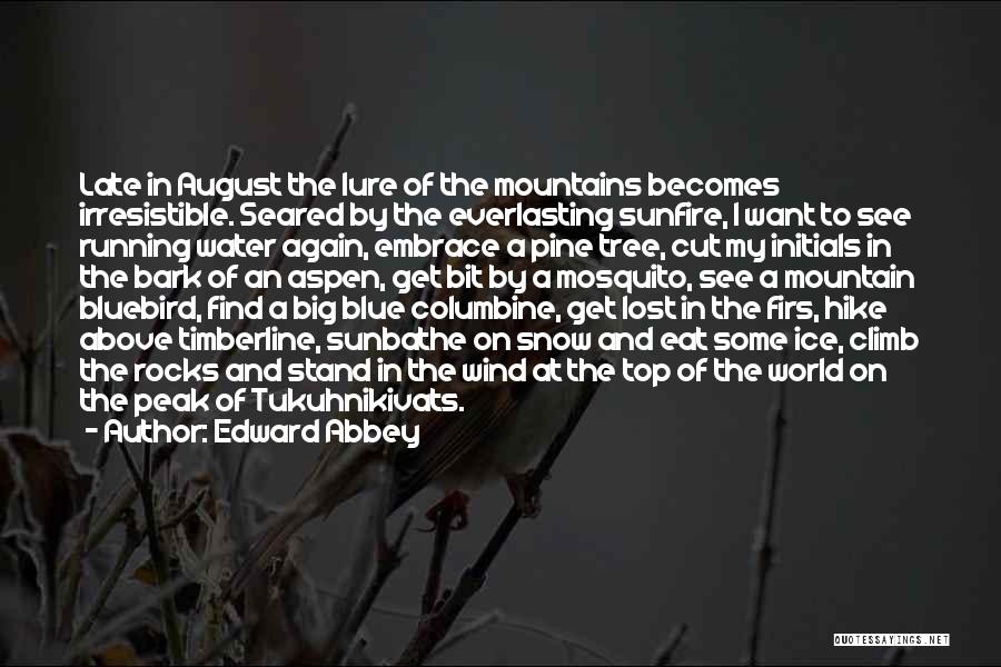 Bluebird Quotes By Edward Abbey