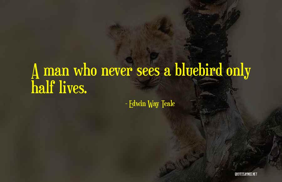 Bluebird Quotes By Edwin Way Teale Bluebird Quotes By Edwin Way Teale