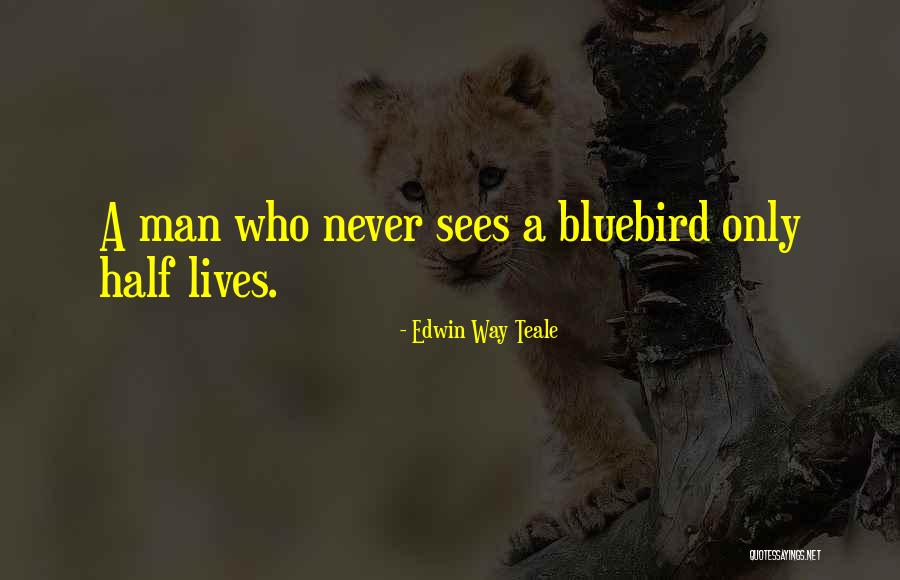 Bluebird Quotes By Edwin Way Teale