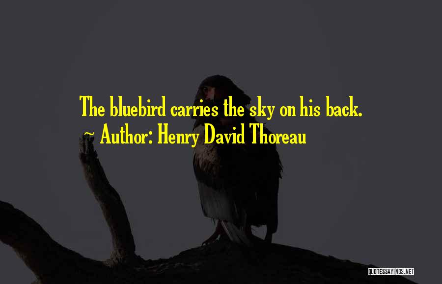 Bluebird Quotes By Henry David Thoreau