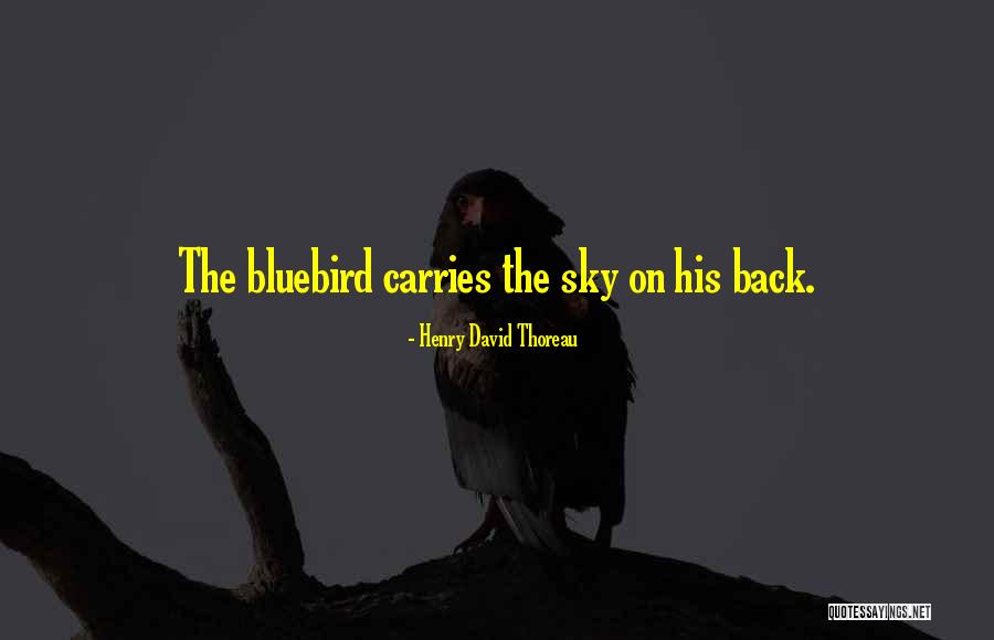 Bluebird Quotes By Henry David Thoreau Bluebird Quotes By Henry David Thoreau