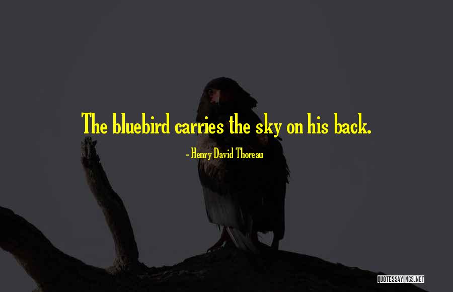 Bluebird Quotes By Henry David Thoreau