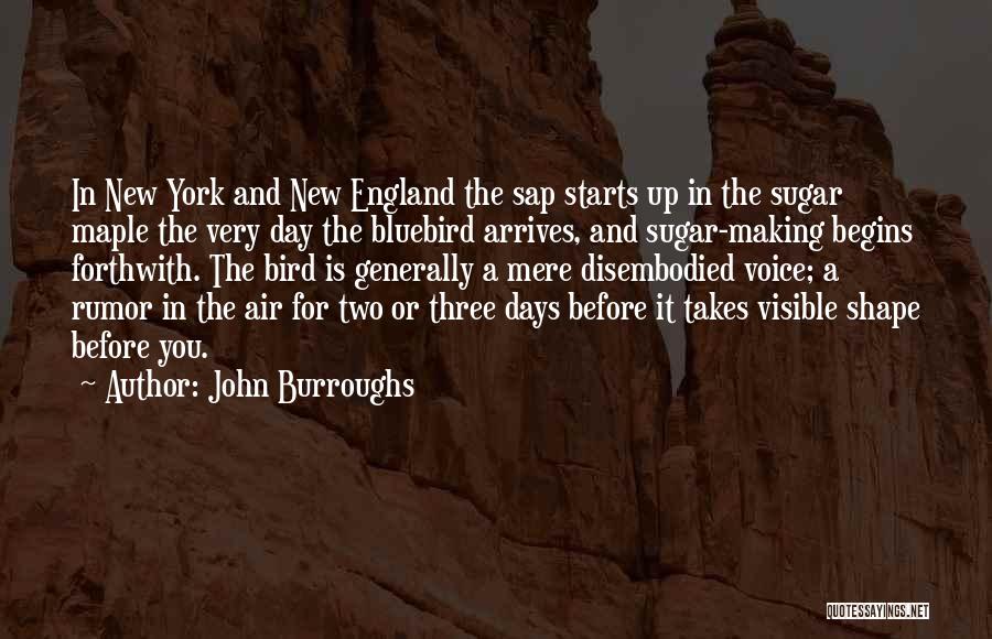 Bluebird Quotes By John Burroughs