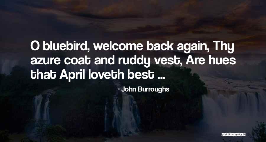 Bluebird Quotes By John Burroughs