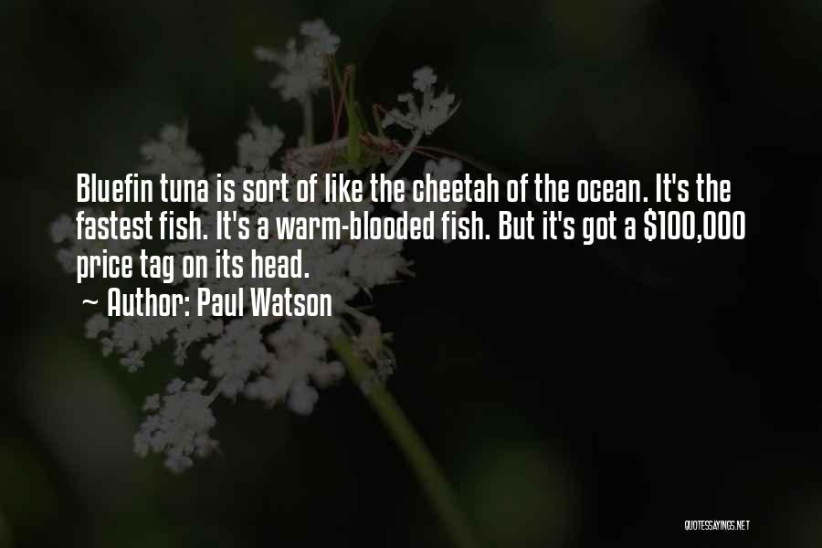 Bluefin Tuna Quotes By Paul Watson