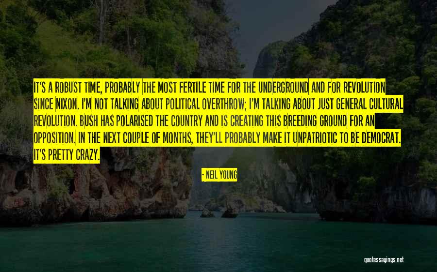 Bluefish Swim Quotes By Neil Young Bluefish Swim Quotes By Neil Young