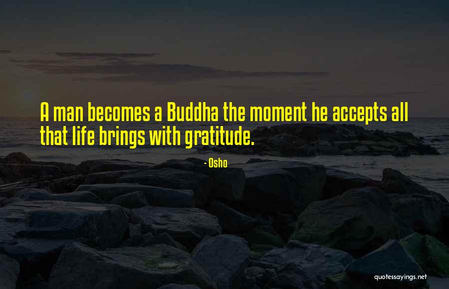 Bluehouse Blueberries Quotes By Osho Bluehouse Blueberries Quotes By Osho